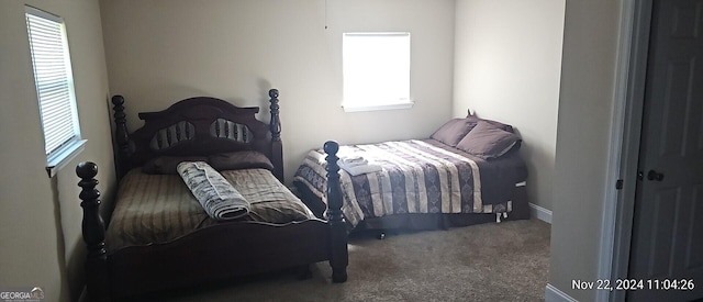 bedroom featuring multiple windows and carpet