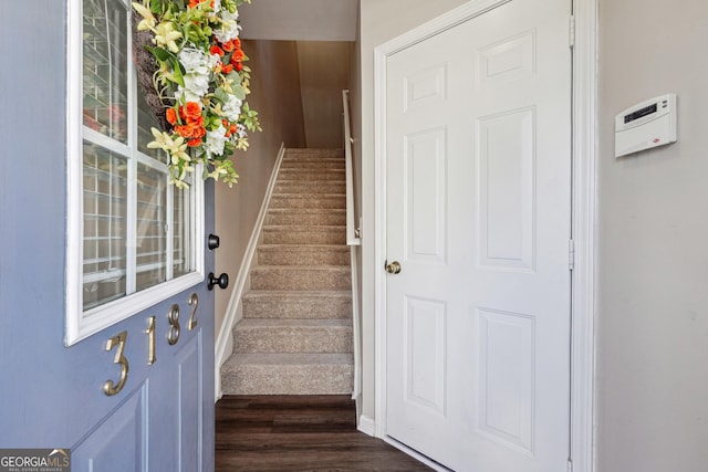 stairway with wood-type flooring