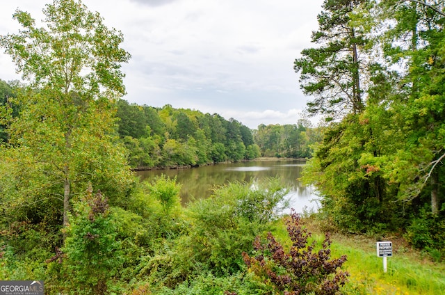 property view of water