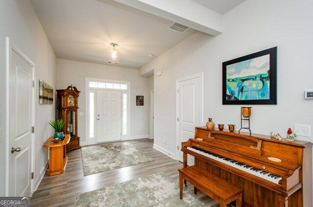 foyer featuring wood-type flooring