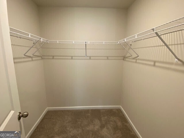 walk in closet with dark carpet