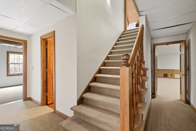 stairway with a paneled ceiling, wooden walls, carpet flooring, and wainscoting