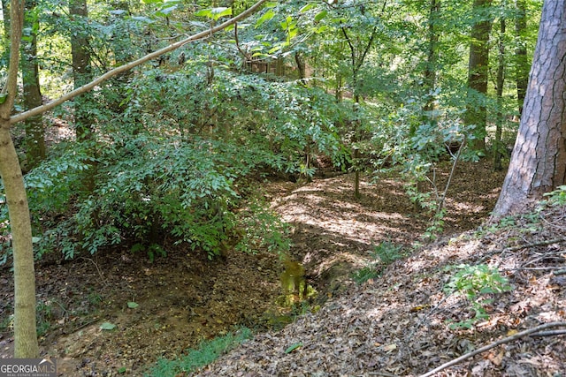 view of landscape