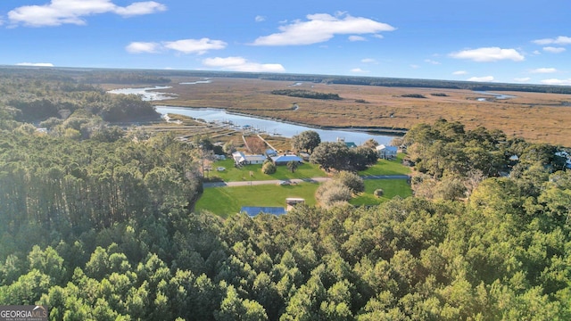 aerial view with a water view and a wooded view