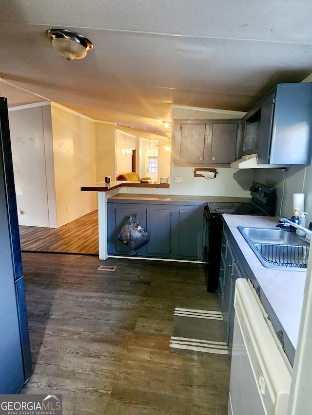 kitchen featuring dark wood-type flooring, a sink, white dishwasher, and black / electric stove