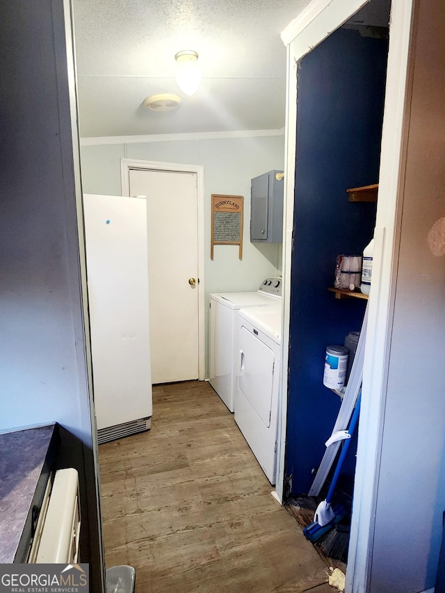 laundry room with ornamental molding, washing machine and dryer, cabinet space, and light wood finished floors