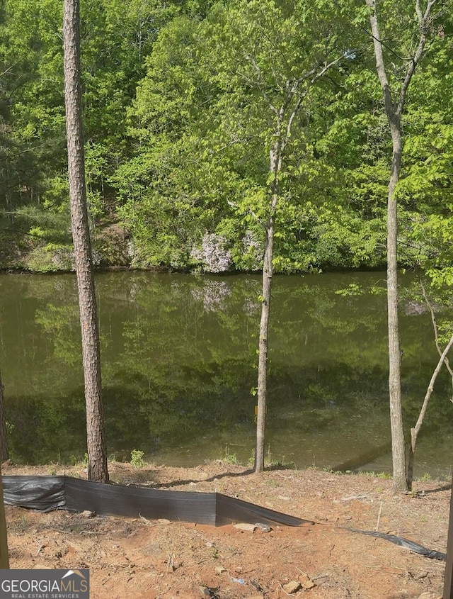 water view with a wooded view