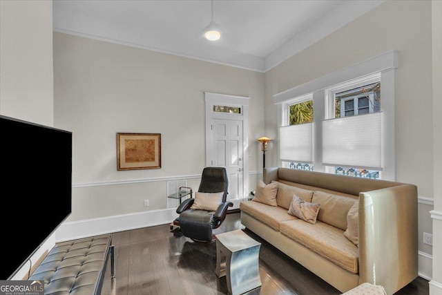 living room featuring dark hardwood / wood-style flooring