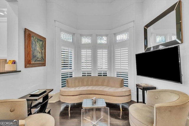 living room featuring hardwood / wood-style floors