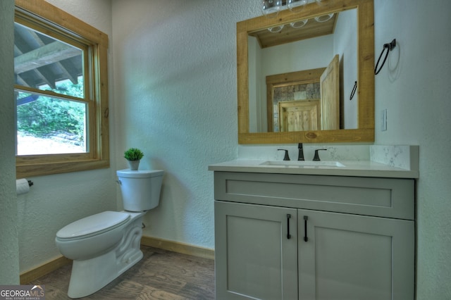 bathroom with vanity, hardwood / wood-style flooring, and toilet