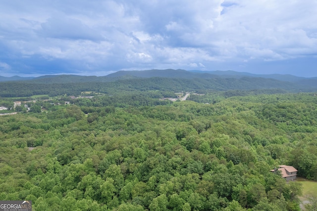 property view of mountains