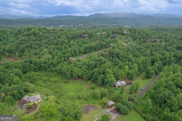 birds eye view of property featuring a mountain view