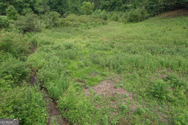 view of nature