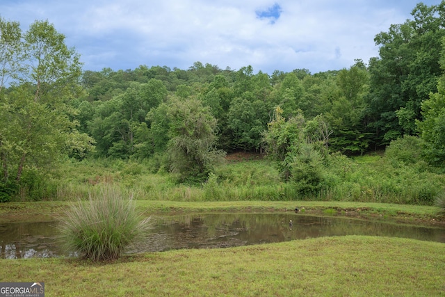 view of landscape featuring a water view