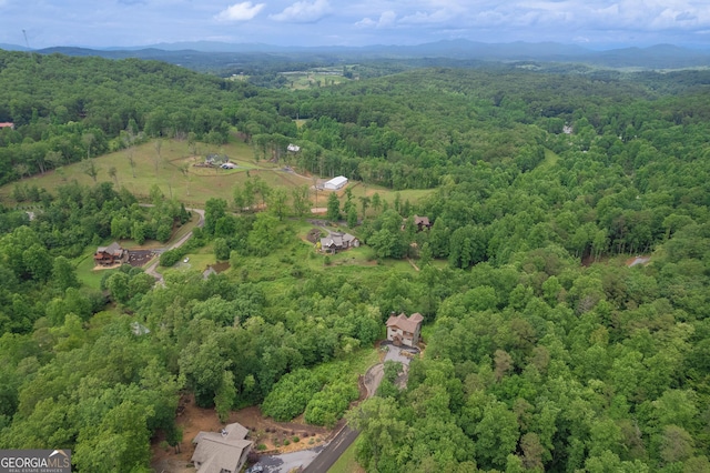 birds eye view of property featuring a mountain view