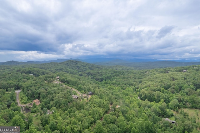 birds eye view of property featuring a mountain view