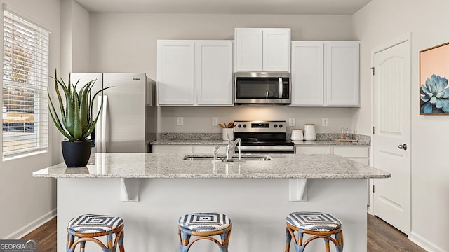 kitchen with white cabinetry, stainless steel appliances, sink, and a kitchen island with sink