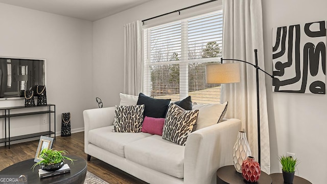 living room with dark wood-type flooring