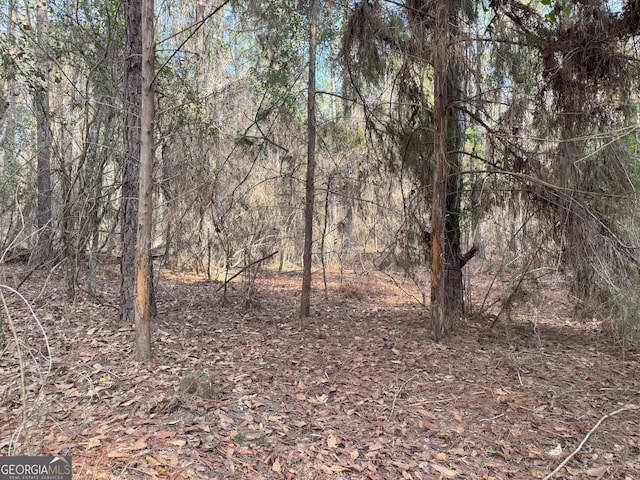 0 Whispering Pines Rd, Pelham, GA 31779