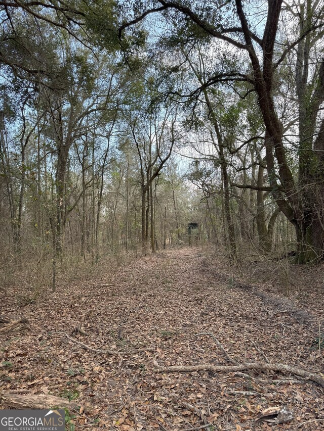 0 Whispering Pines Rd, Pelham, GA 31779