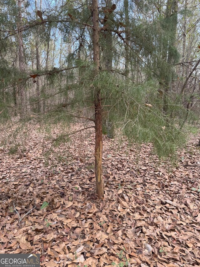0 Whispering Pines Rd, Pelham, GA 31779