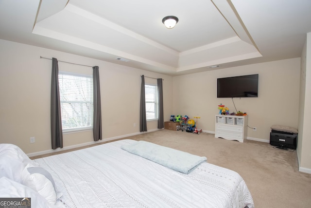 bedroom featuring a raised ceiling and light carpet