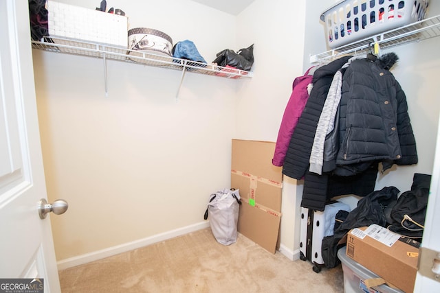 walk in closet featuring light colored carpet