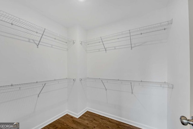 spacious closet with wood-type flooring