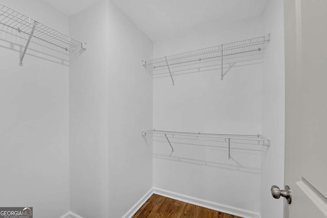 walk in closet featuring dark hardwood / wood-style flooring