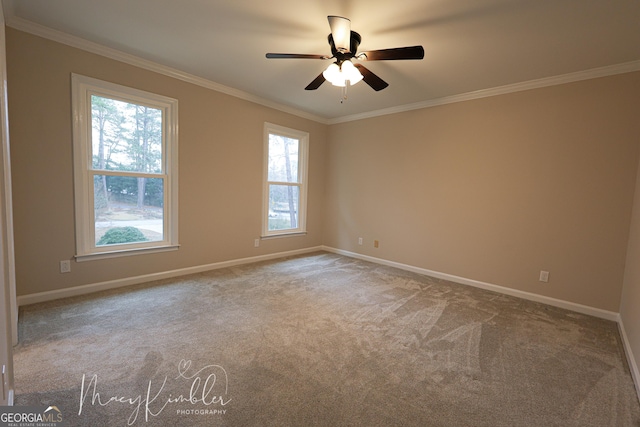 carpeted empty room with ceiling fan and ornamental molding