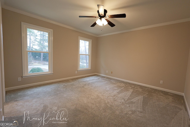 4804 Brittany Dr, Macon, GA 31210 - carpeted empty room featuring ornamental molding, plenty of natural light, and a ceiling fan
