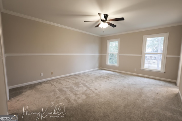 spare room with crown molding, ceiling fan, and carpet