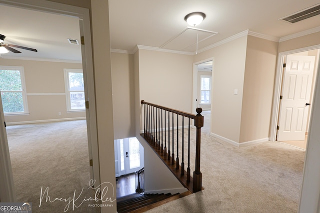 hall with crown molding and carpet flooring