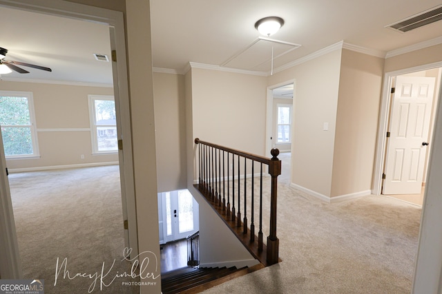 4804 Brittany Dr, Macon, GA 31210 - hall with attic access, carpet flooring, an upstairs landing, and crown molding