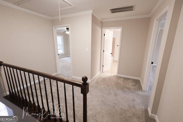 4804 Brittany Dr, Macon, GA 31210 - hallway with attic access, carpet flooring, crown molding, and an upstairs landing