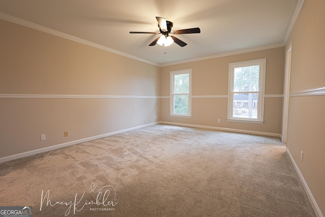 unfurnished room with crown molding, ceiling fan, and light carpet