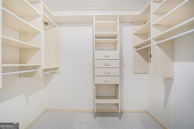 spacious closet featuring carpet floors