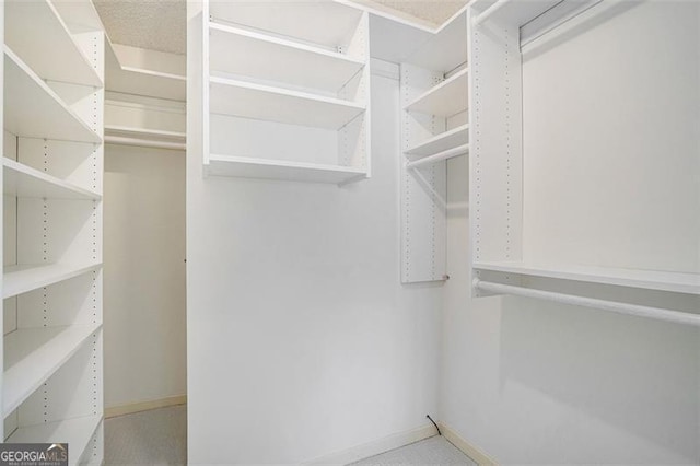 view of spacious closet