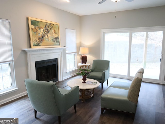 living area featuring wood finished floors, a fireplace, and a healthy amount of sunlight