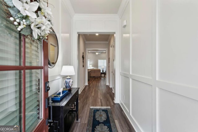 corridor featuring crown molding and dark wood-type flooring