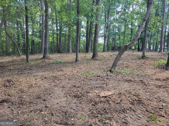 0 Swanson Rd Lot 1, Fayetteville, GA 30214