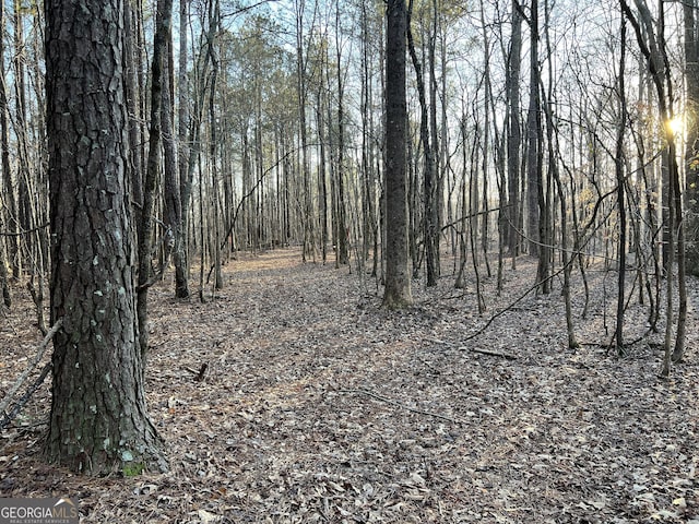 1800 Elder Mill Rd, Watkinsville, GA 30677