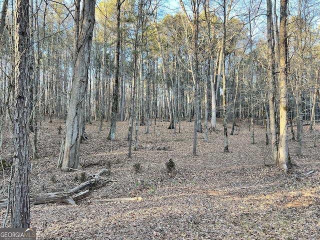 1800 Elder Mill Rd, Watkinsville, GA 30677