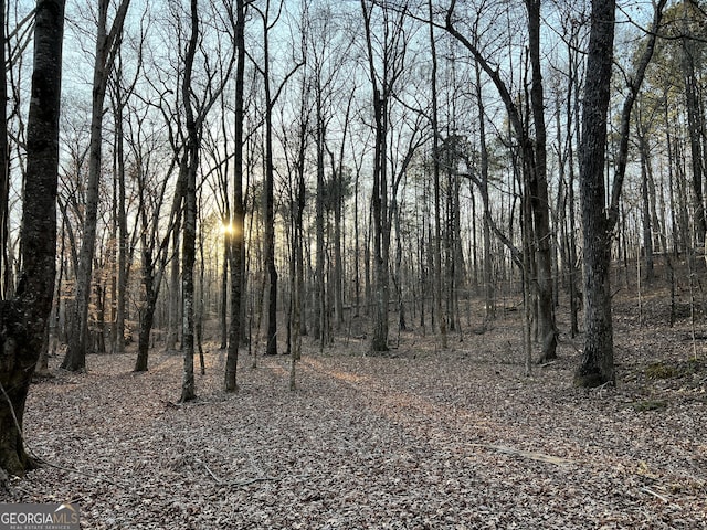1800 Elder Mill Rd, Watkinsville, GA 30677