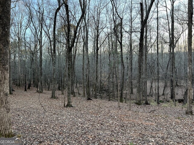 1800 Elder Mill Rd, Watkinsville, GA 30677