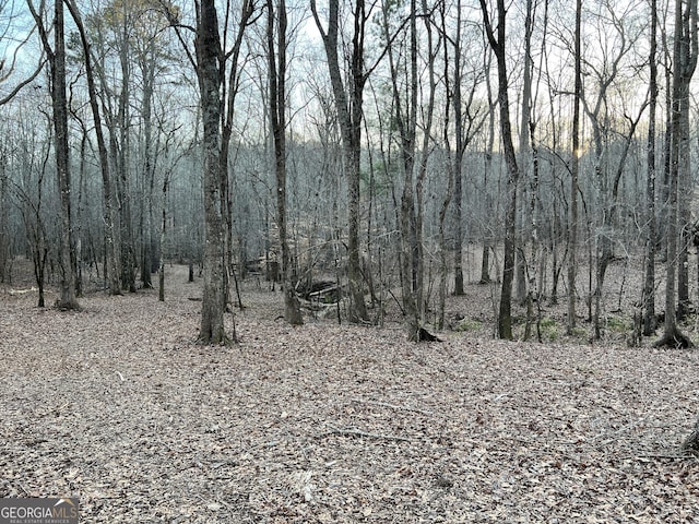 1800 Elder Mill Rd, Watkinsville, GA 30677
