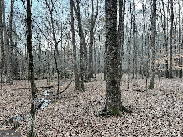 1800 Elder Mill Rd, Watkinsville, GA 30677