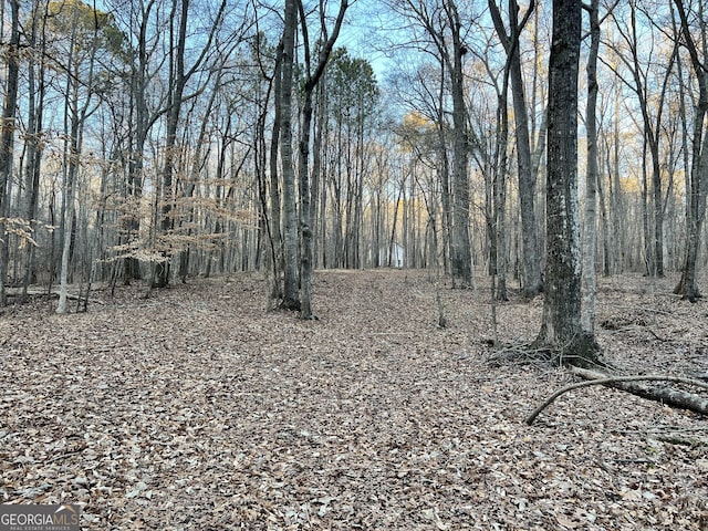 1800 Elder Mill Rd, Watkinsville, GA 30677