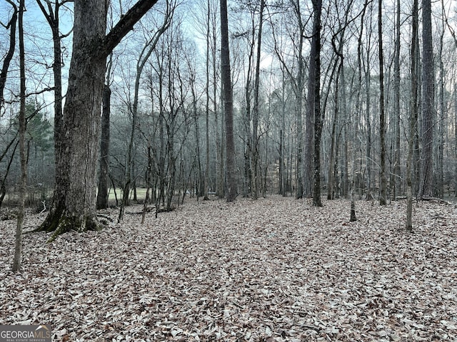 1800 Elder Mill Rd, Watkinsville, GA 30677
