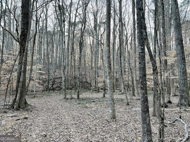1800 Elder Mill Rd, Watkinsville, GA 30677